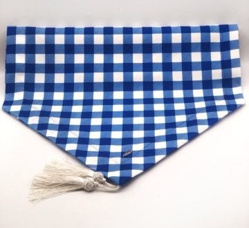 Mavi Üçgen Pötikare Runner